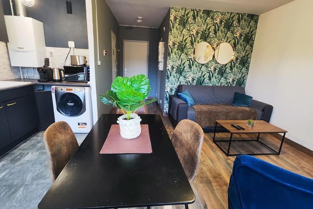 Apartamento Colmar Chaleureux 5 Mn Du Centre T2 Exterior foto
